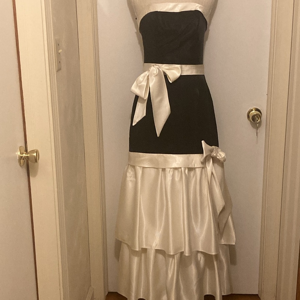 TD4 by Electra Vintage Strapless Gown